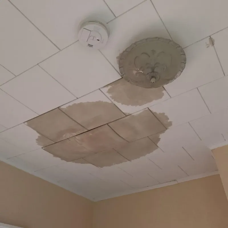 Ceiling Water Damage Repair in Pine Level, AL