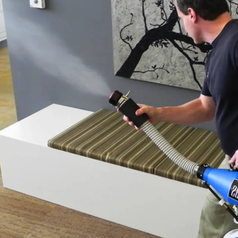 Professional Odor Removal in Pine Level, AL