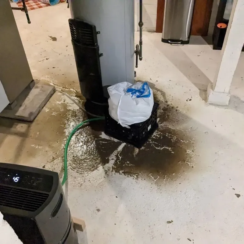 Sewage Backup Cleanup Service in Pine Level, AL